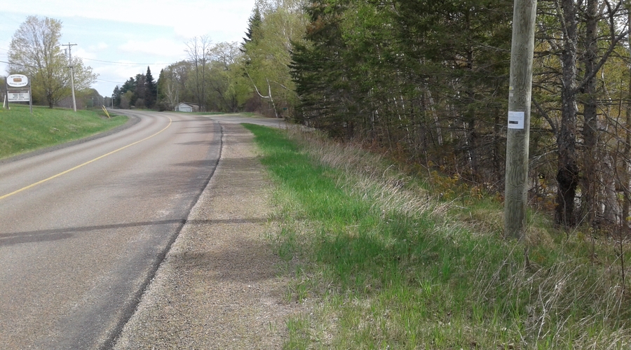 NB-Mactaquac-20180517_100801-269