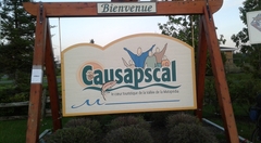Causapascal-20180622_202906-302