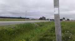 Vassan-Rte-111-20180807_115751-338