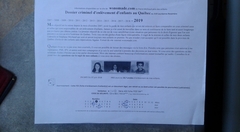 20190323_121144-435