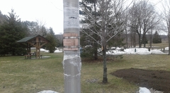 Lachute-20190420_154004-396-2018-RFEE