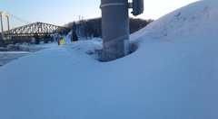 RFEE-20190307_063157-400