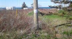 476-A-20190529_164419-Stone-Haven-Rte-134