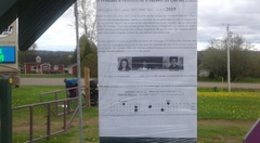 488-2-de-2-20190604_154929-Emerald