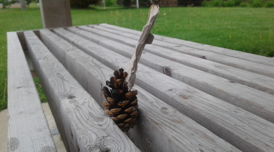 Photo-detente-20190617_074438-Port-Elgin
