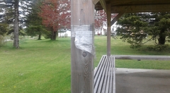 RFEE-20190603_100448-Elgin-Port