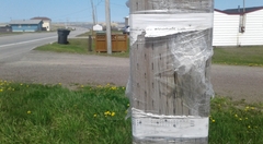 RFEE-20190611_145133-Pointe-au-Loup