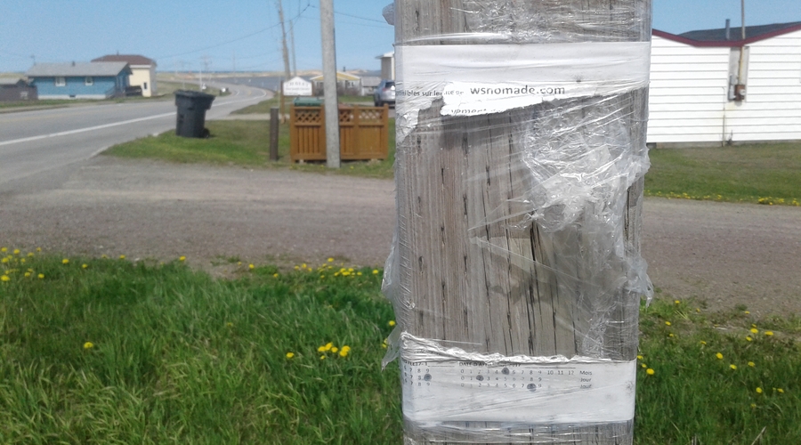 RFEE-20190611_145133-Pointe-au-Loup