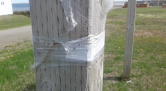 RFEE-20190611_145140-Pointe-au-Loup