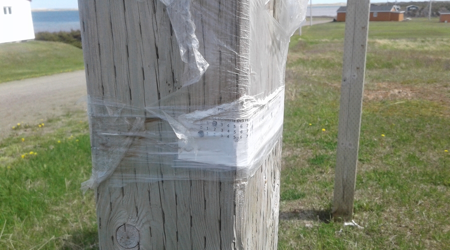 RFEE-20190611_145140-Pointe-au-Loup