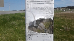 RFEE-20190611_154605-Grosse-Ile