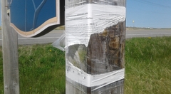 RFEE-20190611_154613-Grosse-Ile