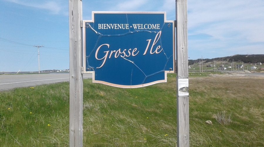 RFEE-20190611_154656-Grosse-Ile
