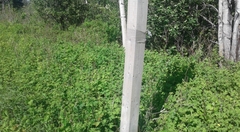 RFEE-20190623_165254-Aroostock