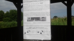 530-20190725_111240-Ontario-2-de-2