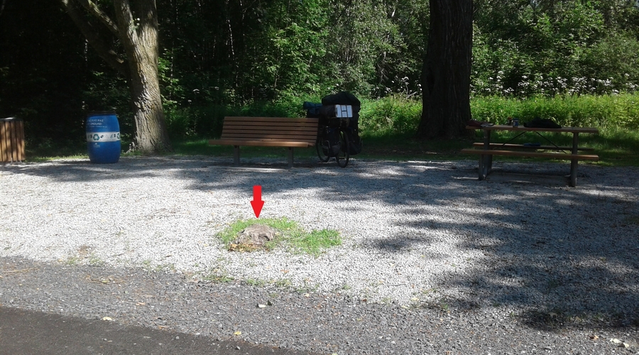 RFEE-20190708_105926-St-Jean-sur-Richelieu