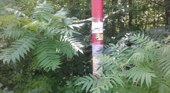 RFEE-3-20190723_143406-Grenville-sur-la-Rouge