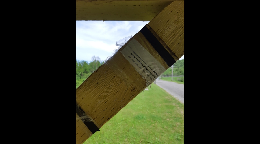 RFEE-20210606_132230