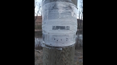 RFEE-558-20210501_204051
