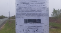 781-A-20220522_124050