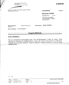 41689 Rapport bidon du CSSSTR 16 de 20 S