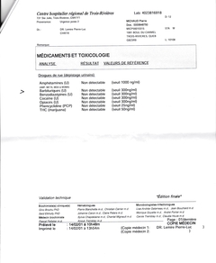 41689 Rapport bidon du CSSSTR 17 de 20 S