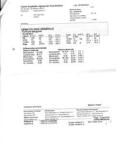 41689 Rapport bidon du CSSSTR 20 de 20 S