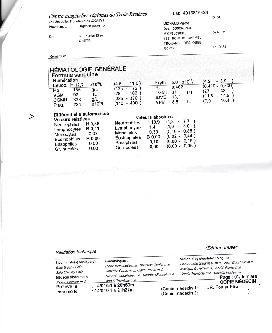 41689 Rapport bidon du CSSSTR 20 de 20 S